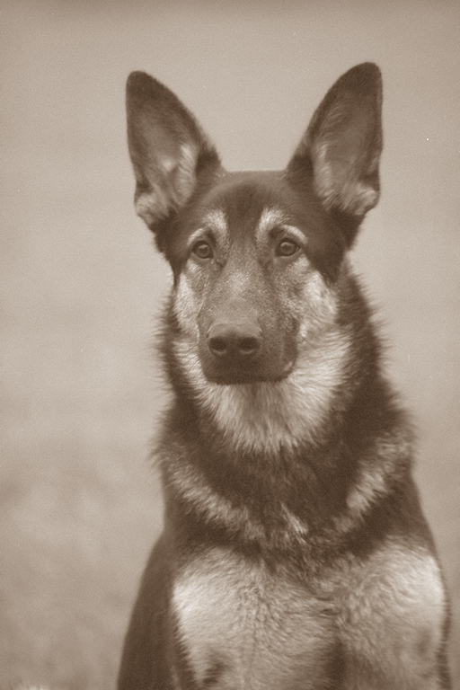 Astor
